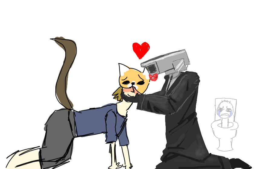 Камеродроберы канон.