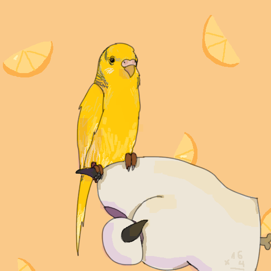 Сегодня Мика впервые села мне на руку