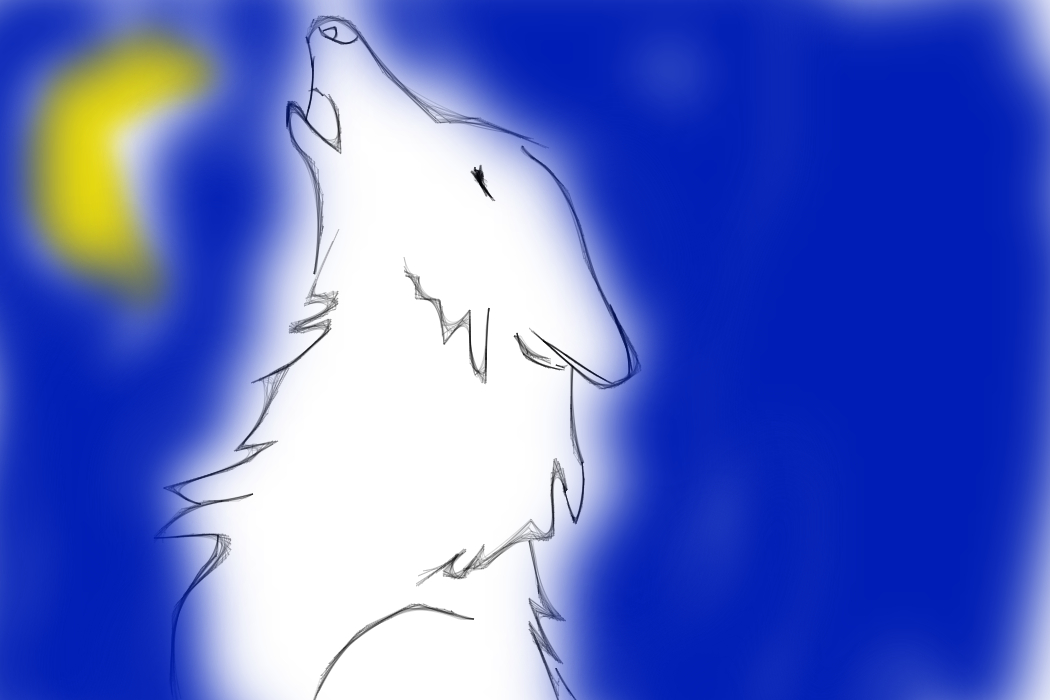 я одинокий волк... лишь луна мой друг вижу её цвет только в черно белом цвете не стану вам служить! есть из ваших рук если против шерсти только попутный ветер.....