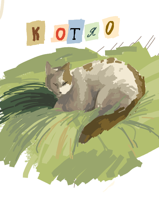 Котяо ♥