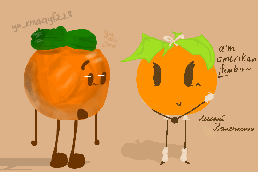 мандарины <br />
!НОВАЯ РАСА!<br />
МАНДАРИН АМЕРИКАНСКИЙ ФЕМБОЙ