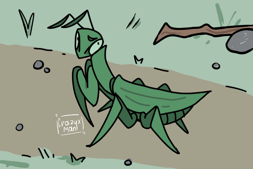 богомольчееек :3