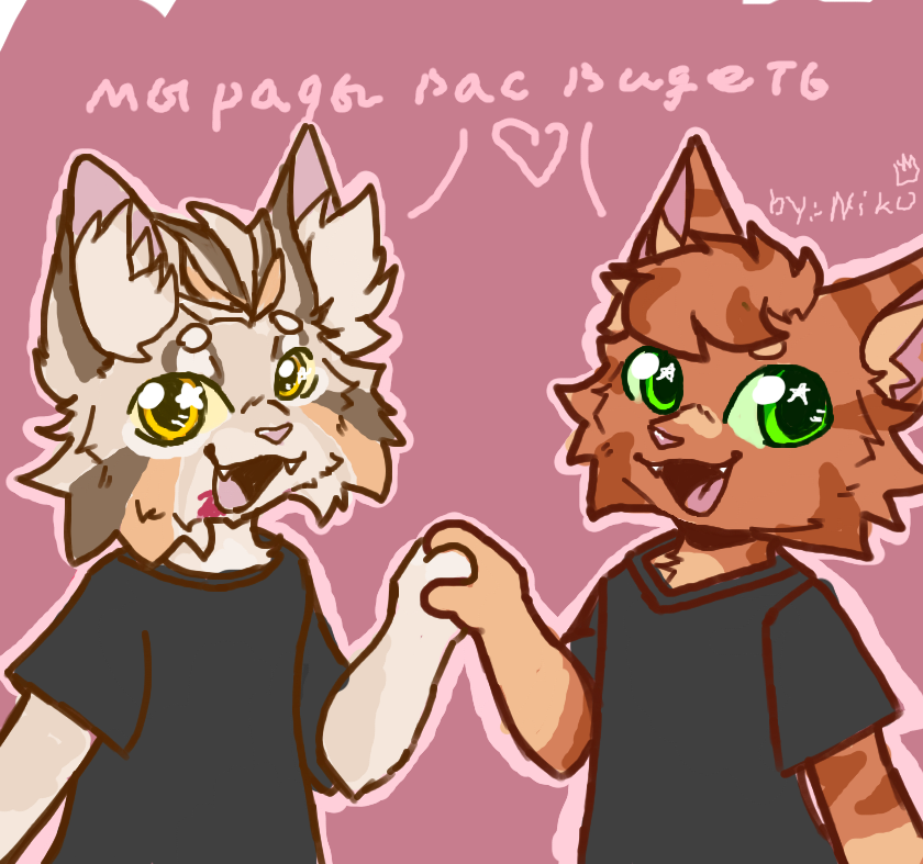 факт об авторе - я очень сильно люблю котиков