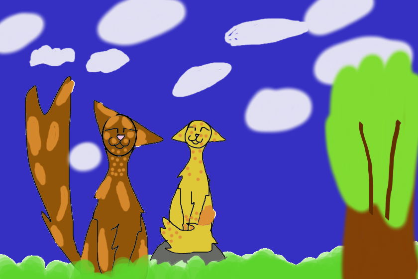 Короче это пятногрив и его оруженосец солнцелапка они вечером вышли на охоту и решили отдохнуть в этом красивом месте)