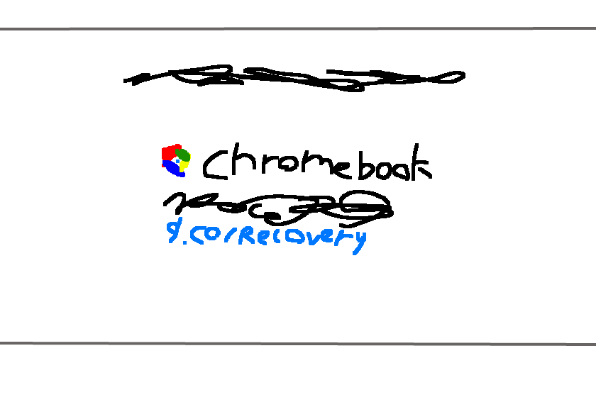 my chromebook screen just now(before it reset itself for no reason)